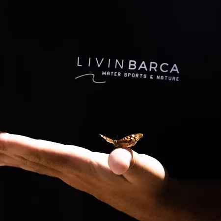 Feriehus Livin Barca - Water Sports & Nature *