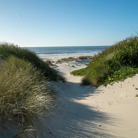 Tatil Evi Livin Barca - Water Sports & Nature