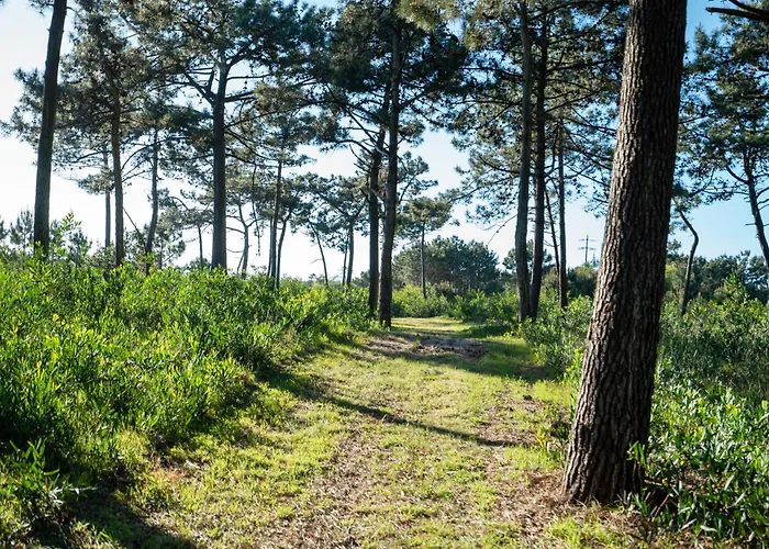 Vakantiehuis Livin Barca - Water Sports & Nature