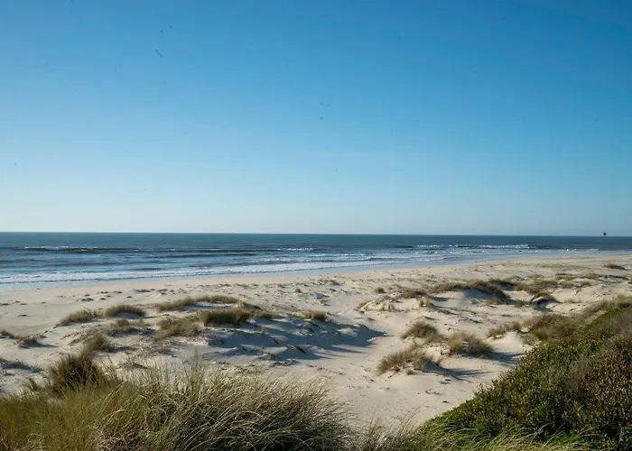 Livin Barca - Water Sports & Nature *